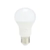 Scene Switch 8W 2 in 1 LED Bulb E27