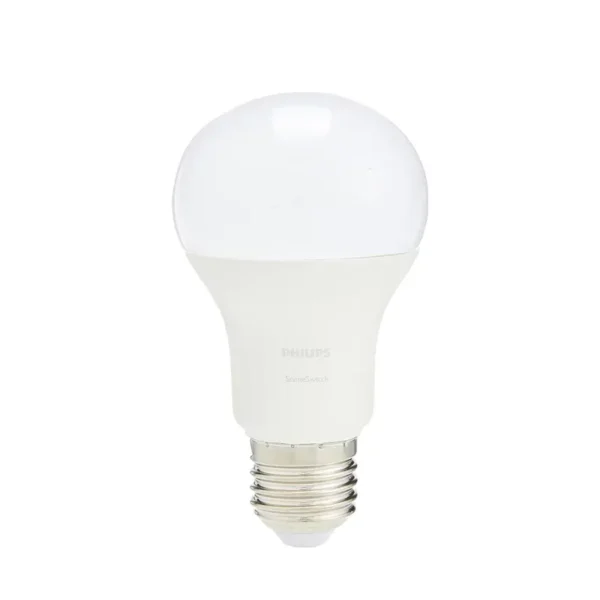 Scene Switch 8W 2 in 1 LED Bulb E27